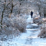 winter walks Herefordshire